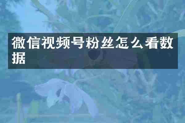 微信视频号粉丝怎么看数据