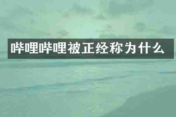 哔哩哔哩被正经称为什么
