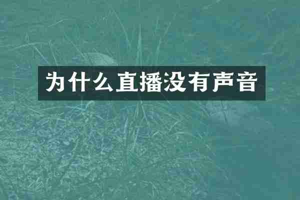 为什么直播没有声音