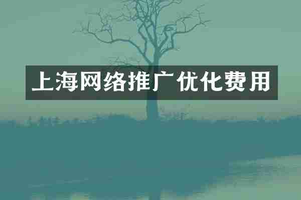 上海网络推广优化费用