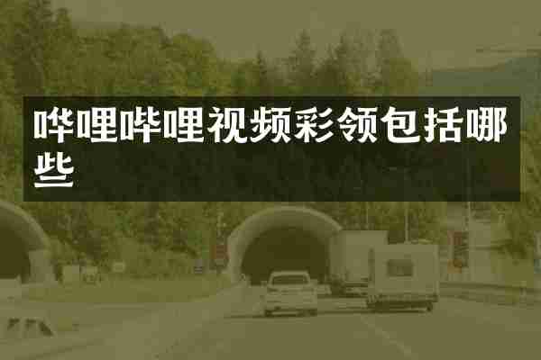 哗哩哔哩视频彩领包括哪些