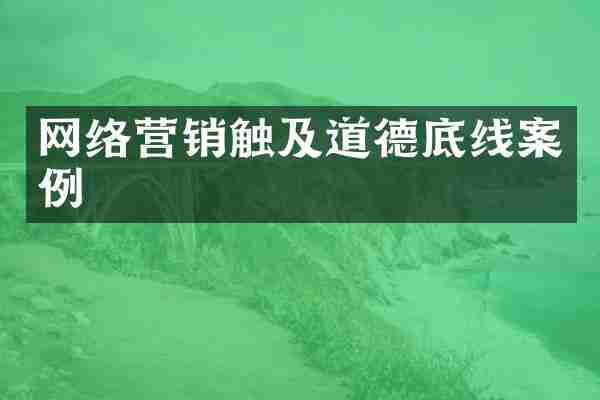 网络营销触及道德底线案例