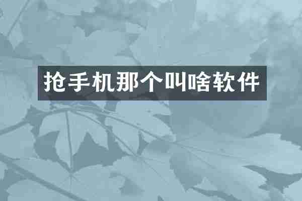 抢手机那个叫啥软件