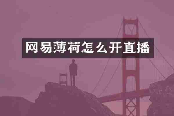 网易薄荷怎么开直播