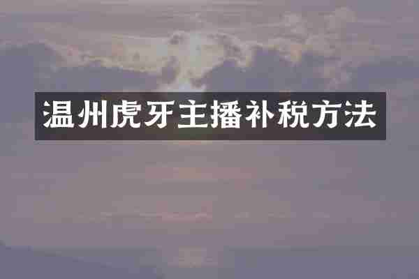 温州虎牙主播补税方法