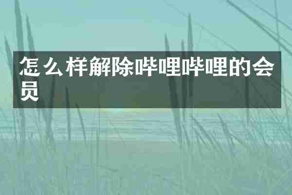 怎么样解除哔哩哔哩的会员