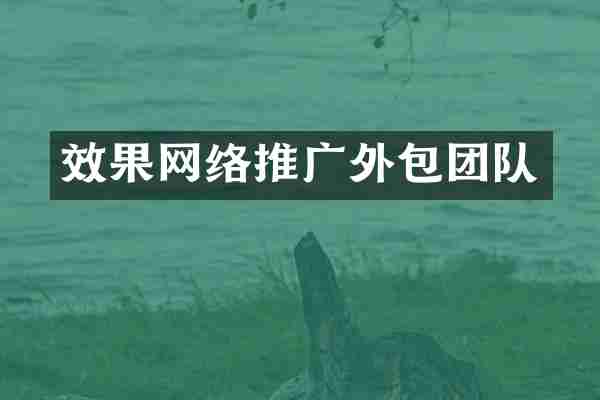 效果网络推广外包团队