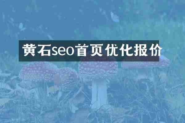 黄石seo首页优化报价