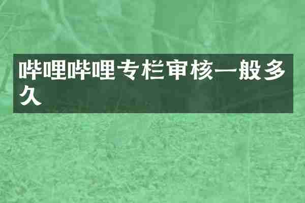 哔哩哔哩专栏审核一般多久