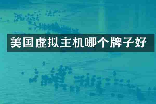 美国虚拟主机哪个牌子好