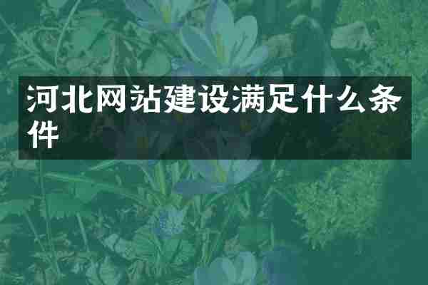 河北网站建设满足什么条件