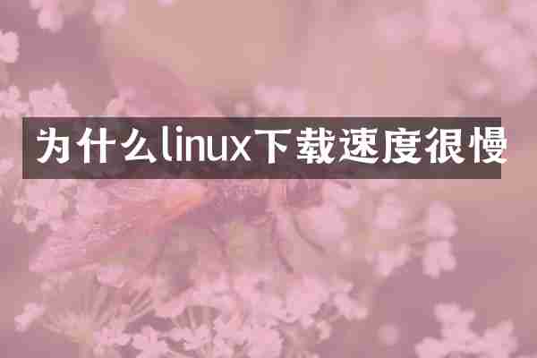 为什么linux下载速度很慢
