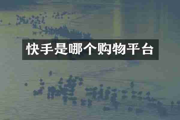 快手是哪个购物平台