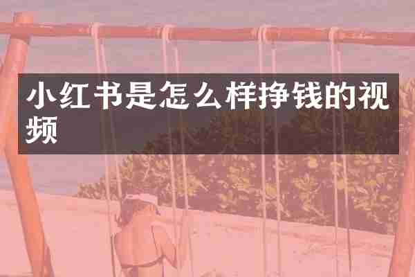 小红书是怎么样挣钱的视频