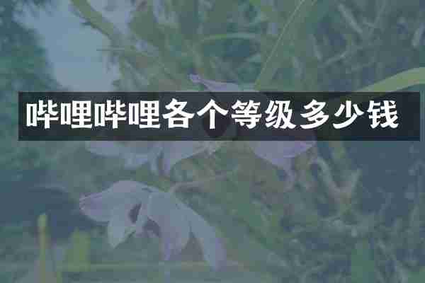 哔哩哔哩各个等级多少钱