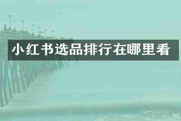 小红书选品排行在哪里看