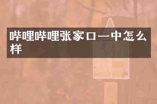 哔哩哔哩张家口一中怎么样