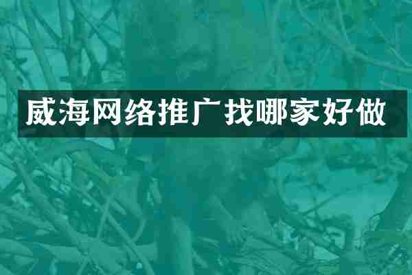 威海网络推广找哪家好做