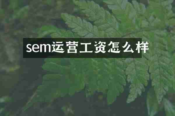 sem运营工资怎么样