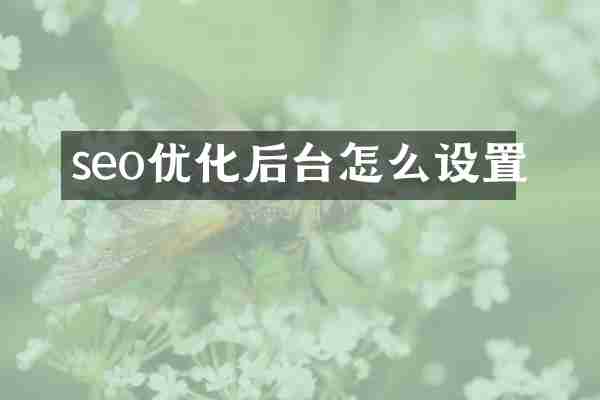 seo优化后台怎么设置