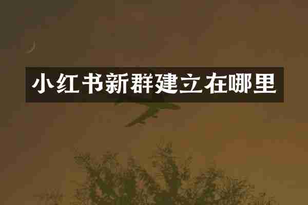 小红书新群建立在哪里