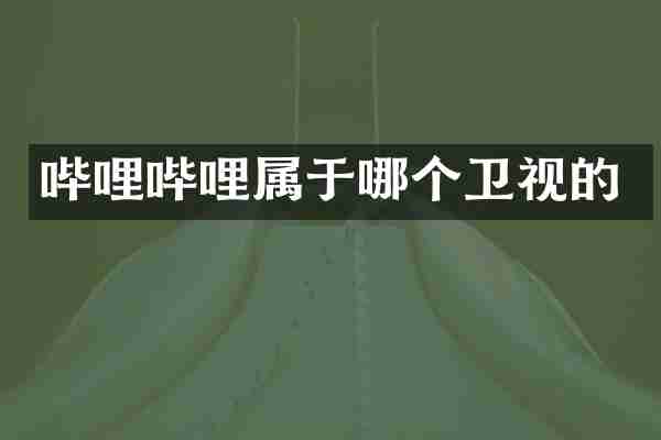 哔哩哔哩属于哪个卫视的