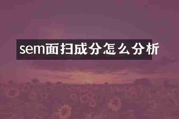 sem面扫成分怎么分析