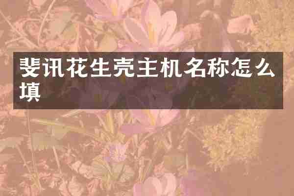 斐讯花生壳主机名称怎么填