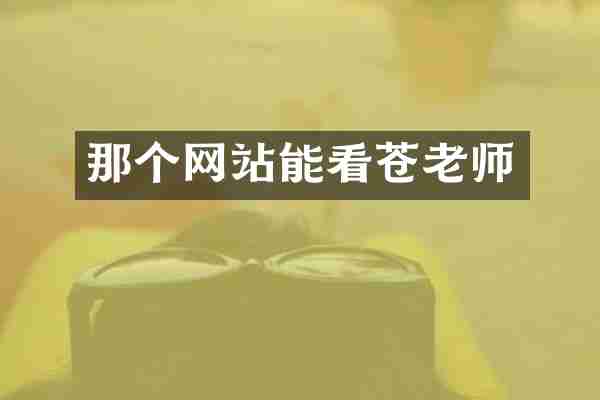 那个网站能看苍老师
