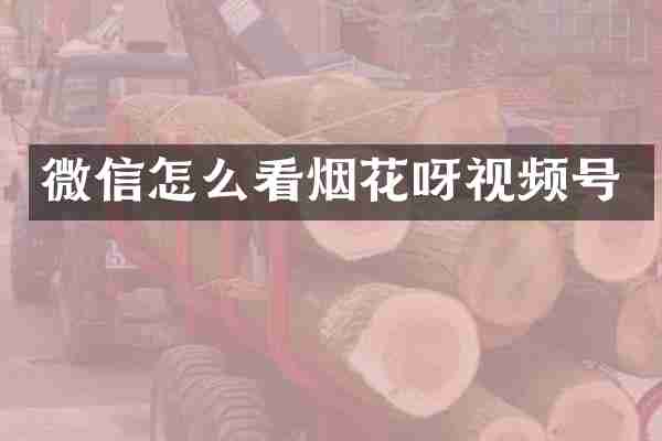微信怎么看烟花呀视频号