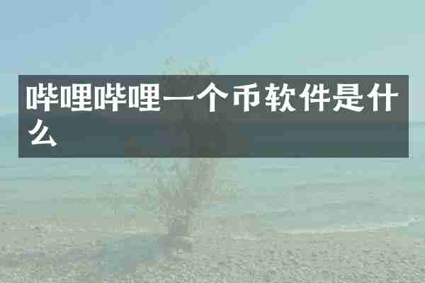 哔哩哔哩一个币软件是什么