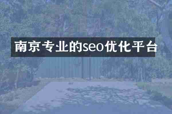 南京专业的seo优化平台