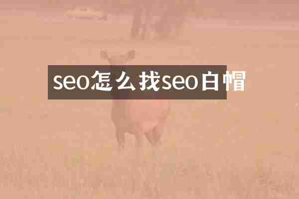 seo怎么找seo白帽