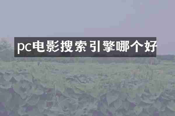 pc电影搜索引擎哪个好
