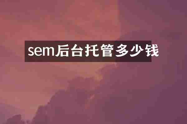 sem后台托管多少钱