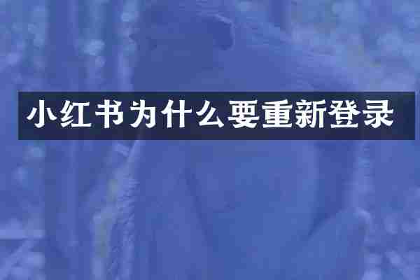 小红书为什么要重新登录