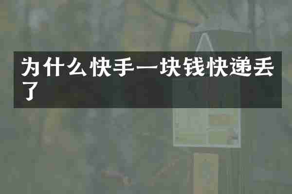 为什么快手一块钱快递丢了