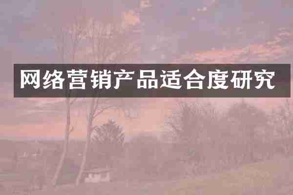 网络营销产品适合度研究
