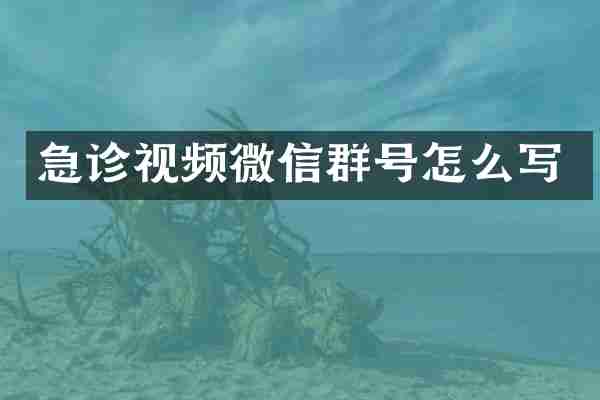 急诊视频微信群号怎么写