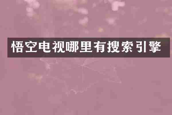 悟空电视哪里有搜索引擎
