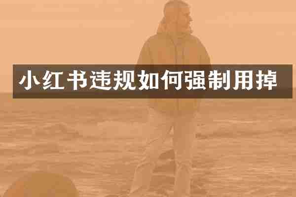 小红书违规如何强制用掉