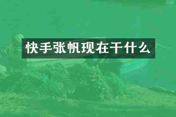 快手张帆现在干什么