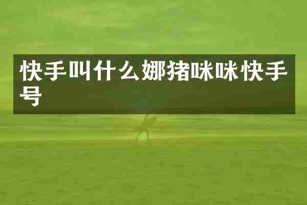 快手叫什么娜猪咪咪快手号