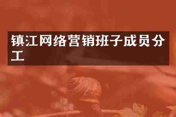 镇江网络营销班子成员分工