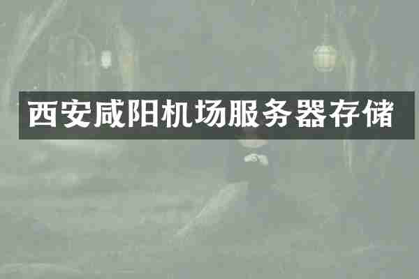 西安咸阳机场服务器存储