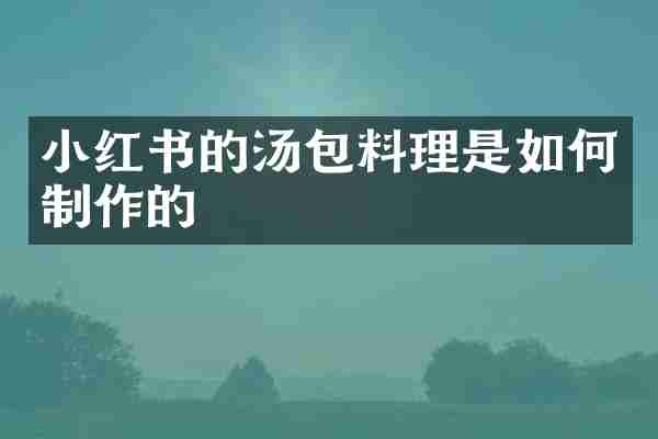 小红书的汤包料理是如何制作的