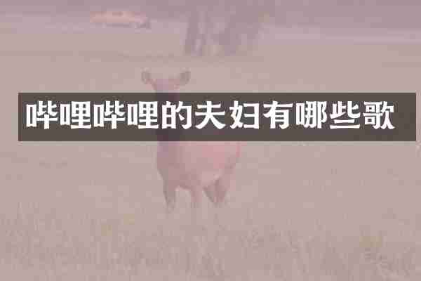 哔哩哔哩的夫妇有哪些歌