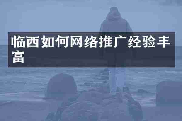 临西如何网络推广经验丰富