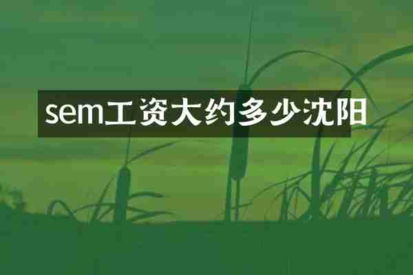 sem工资大约多少沈阳