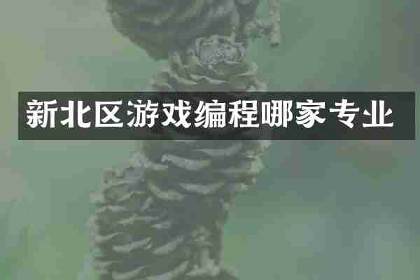 新北区游戏编程哪家专业